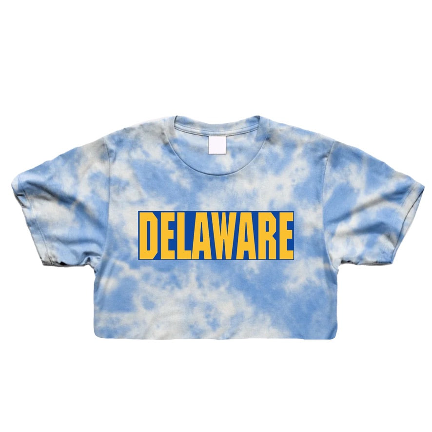 Bold Tie Dye Crop Tee