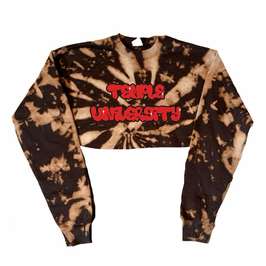 Graffiti Bleach Crop Crewneck