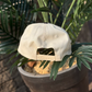 GAMEDAY hat